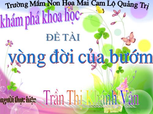 vong đời của bướm