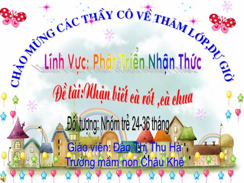 NBTN cà rốtt cà chua