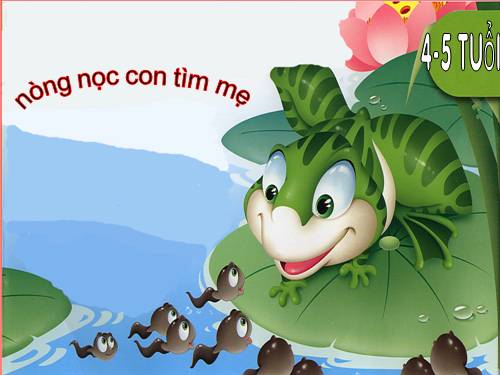 Nòng nọc con tìm mẹ