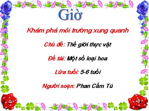 lam quen một số loại hoa