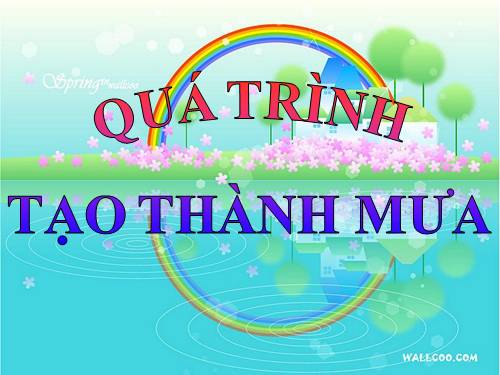 QUÁ TRÌNH TẠO THÀNH MUA