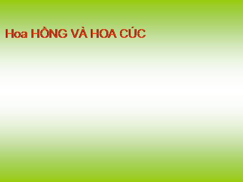 SO SANH HOA