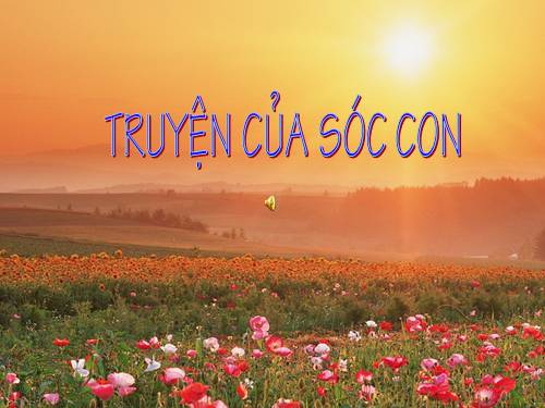 truyen cua soc