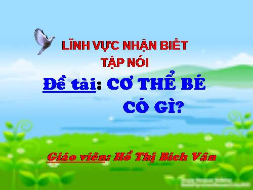 mot so bo phan co the be