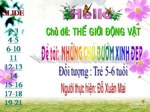 Những chú bướm xinh đẹp