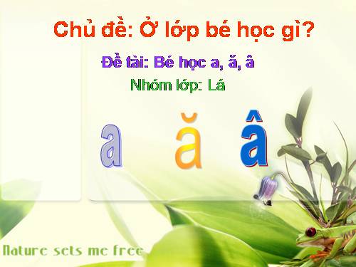 Bé học chữ gì