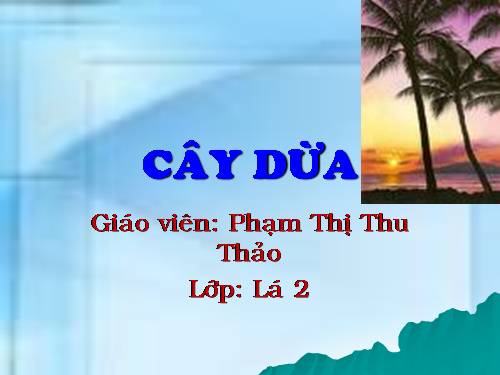 Cây dừa