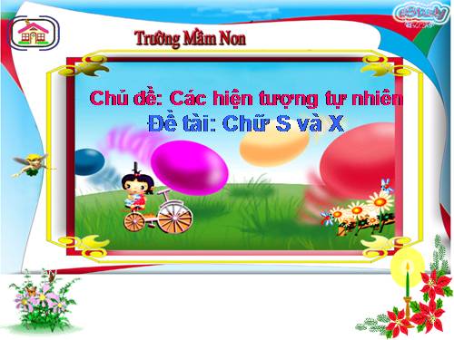 Chữ S và X