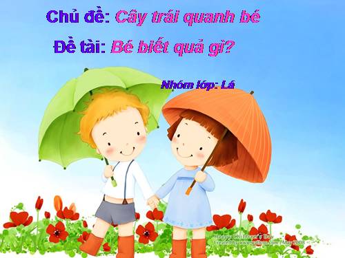 Một số loại quả