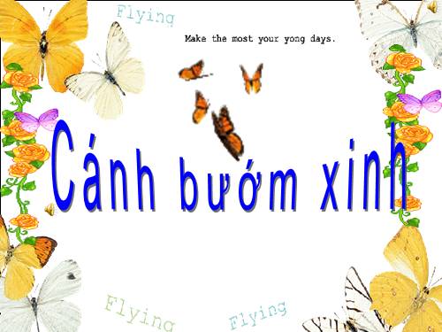 Com bướm xinh