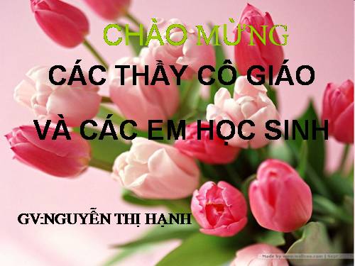 Chăm chỉ học tập