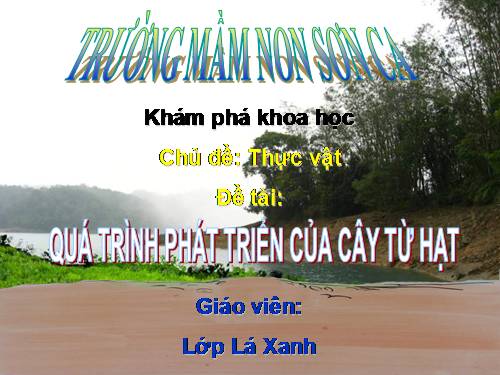 Vòng đời phát triển của cây