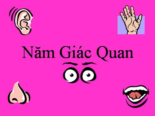 Giác quan