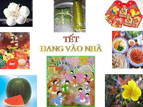 TẾT ĐANG VÀO NHÀ