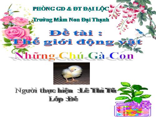 Những chú gà con