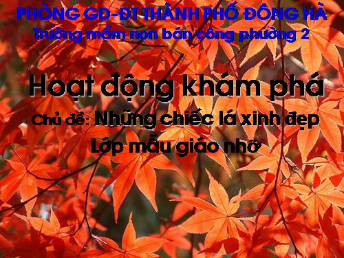 Những chiếc lá xinh đẹp