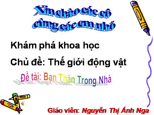 Bạn gà vịt