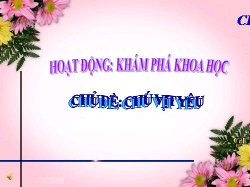 Chú vịt yêu