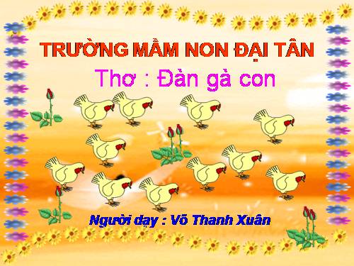 ĐÀN GÀ CON