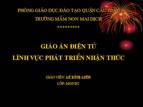 Lĩnh vực phát triển nhận thức