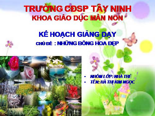 giao an hien tuong thien nhien