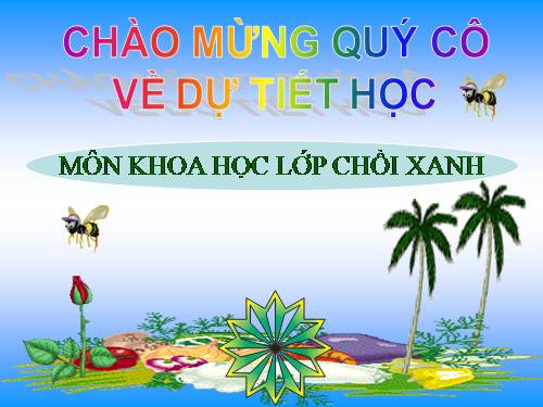 Bài dạy" Vòng đời phát triển của ếch"