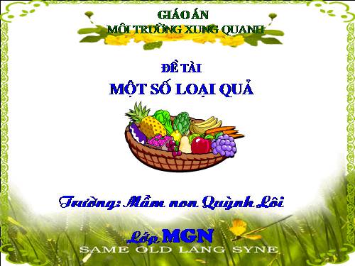 Một số loại quả - MGN