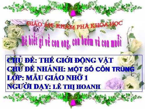 KHÁM PHÁ CÔN TRÙNG