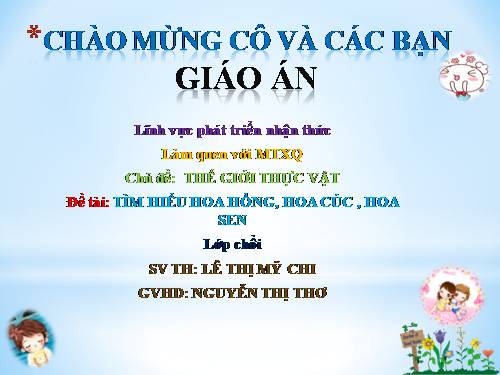 giáo an: TÌM HIỂU HOA HỒNG, HOA CÚC, HOA SEN