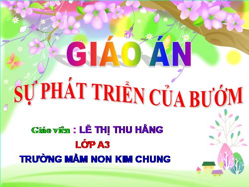 Kham pha khoa hoc : Con Buom
