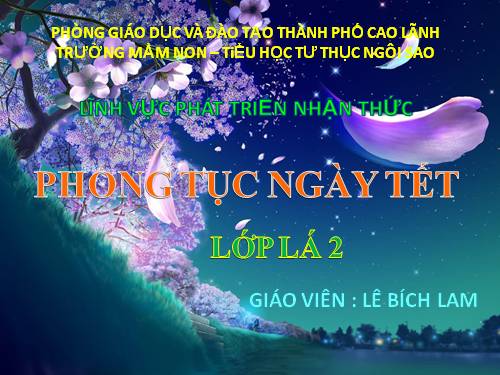 PHONG TỤC NGÀY TẾT