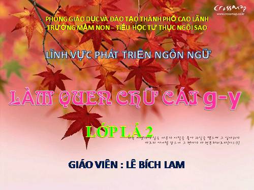 LQCC_G,Y