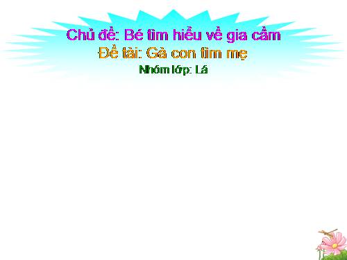 dấu chân của ai