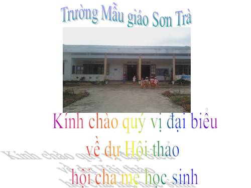 CT sơn trà