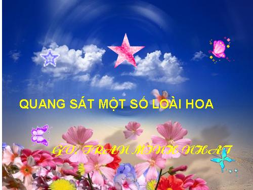 QUAN SAT MOT SO LOAI HOA