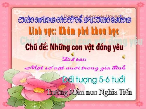 VẬT NUÔI GIA ĐÌNH