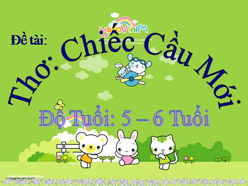 CHIẾC CẦU MỚI