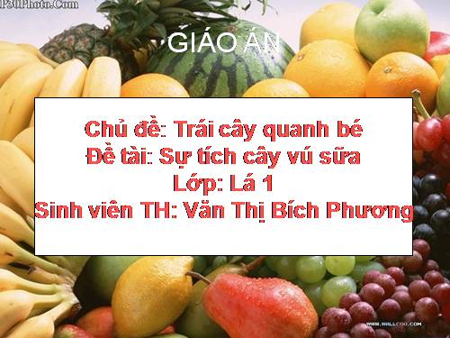 Su tich Vu Sua