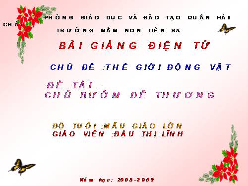 KPKH NHỮNG CON BƯỚM DỄ THƯƠNG