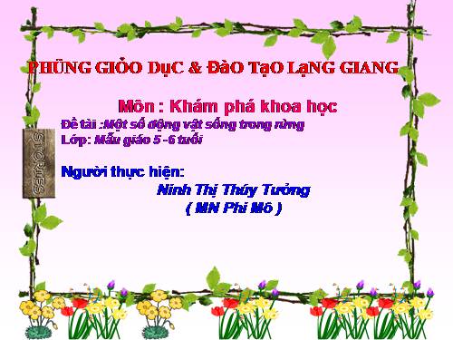 Dong vat song trong rung