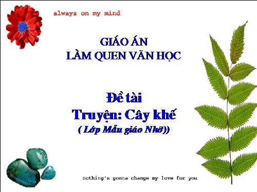 Chuyện cây khế