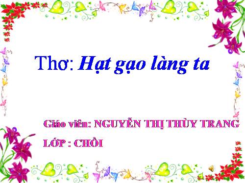 hat gao lang ta