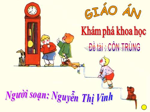 CÔN TRÙNG QUANH BÉ