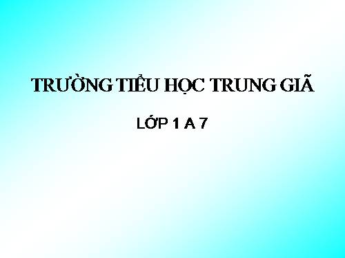 Luyện tập Trang 10