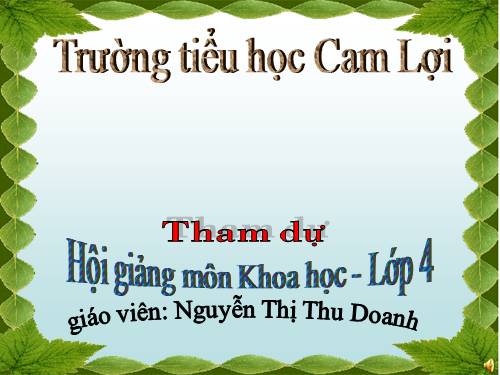 Tiết học đầu tiên