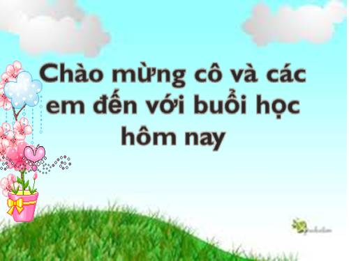 Các ngày trong tuần lễ