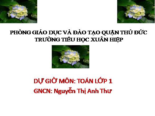 Các ngày trong tuần lễ