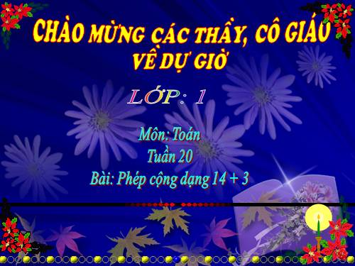 Phép cộng dạng 14+3