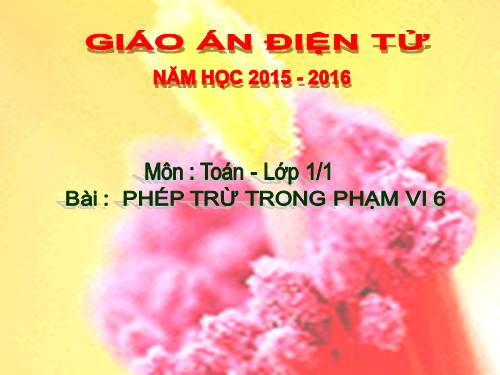 Phép trừ trong phạm vi 6