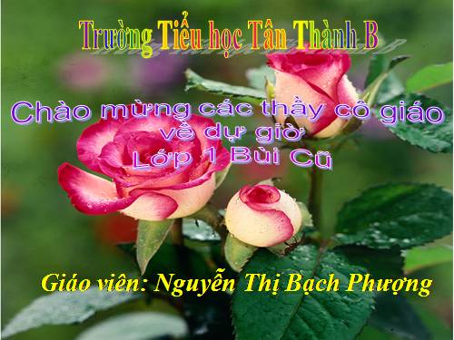 Bảng cộng và bảng trừ trong phạm vi 10